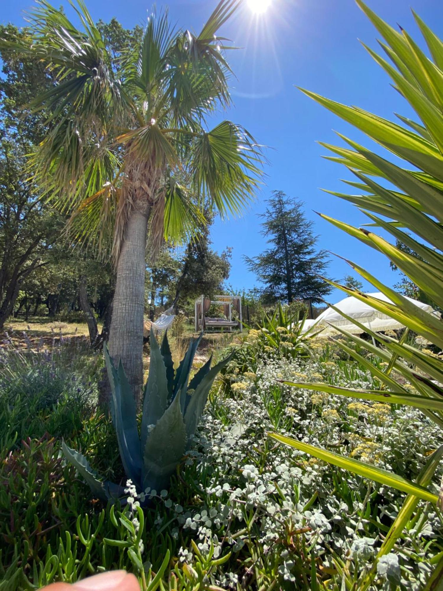 Villa Alba En Provence Besse-sur-Issole Eksteriør billede